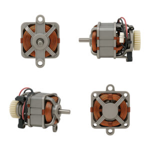 Blender Motor